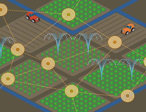 IoT en la agricultura: dispositivos y aplicaciones para el riego de precisión