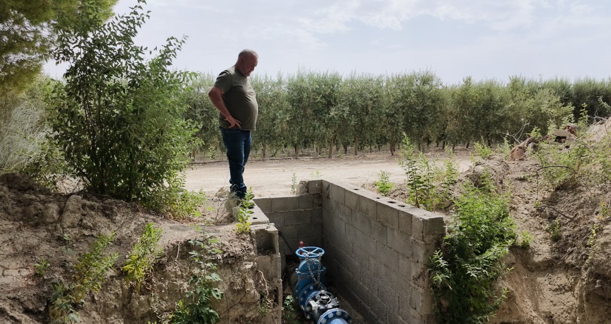 Arqueta de una toma de riego junto a una finca de olivar en el Canal de Jabalcón