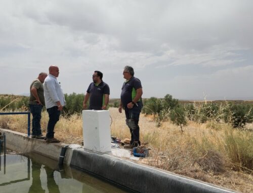 La Communauté d&rsquo;Irrigants Canal de Jabalcón avance vers l&rsquo;irrigation intelligente grâce au PERTE de Digitalisation de l&rsquo;Eau